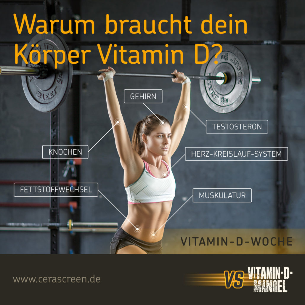 Vitamin D Erklärungsgrafik