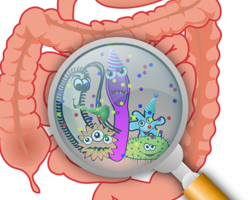 Immunsystem