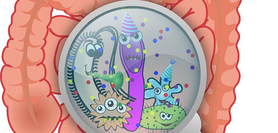 Immunsystem