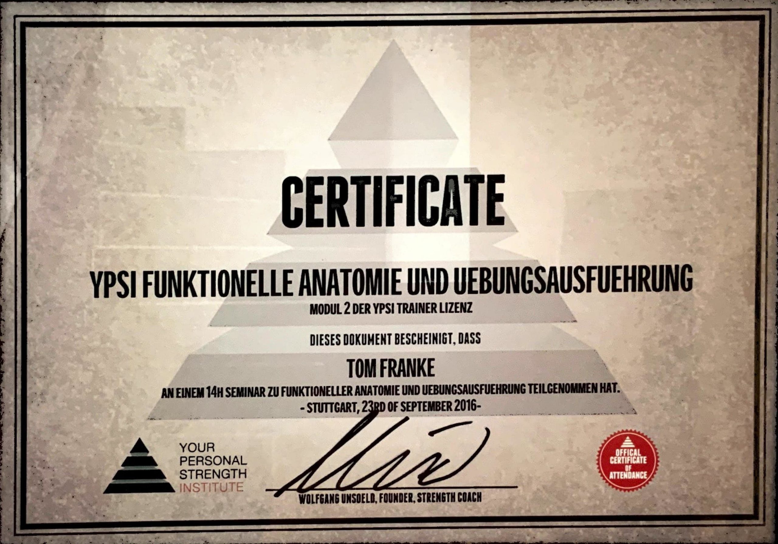 Tom Franke Zertifikat - Personal Trainer Leipzig