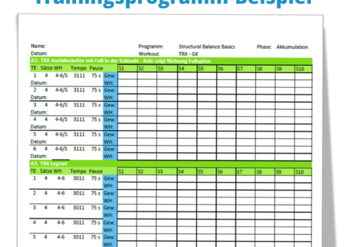 Trainingsprogramm Beispiel