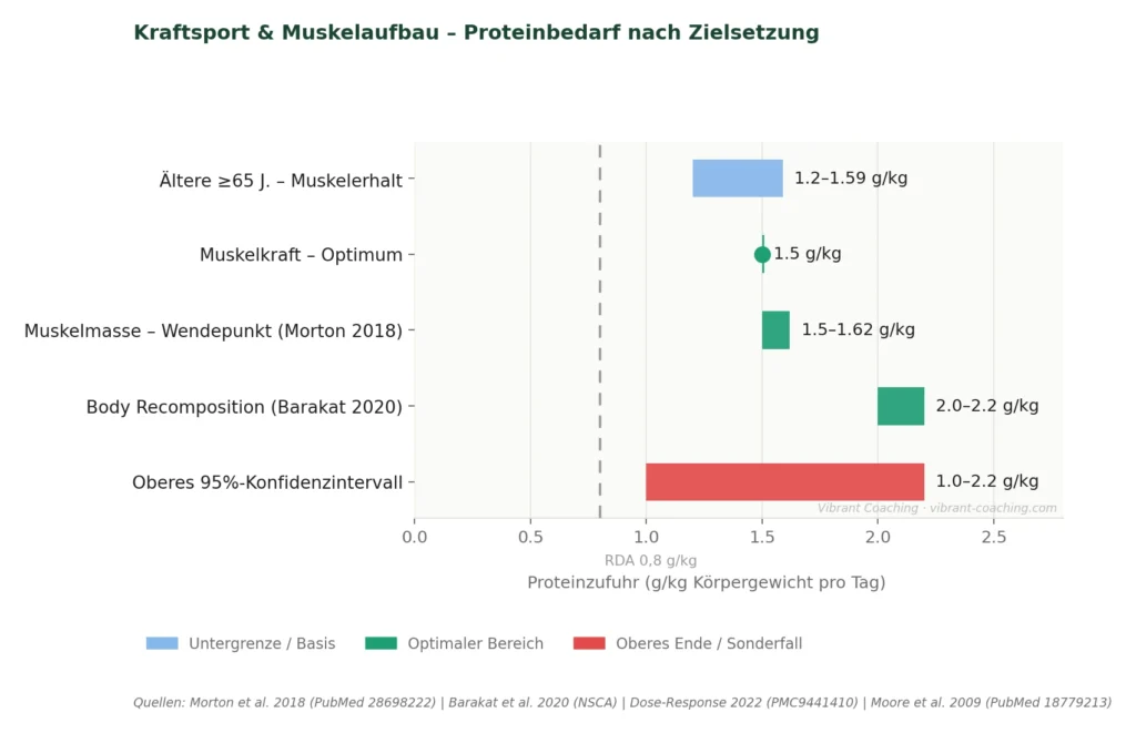 Wie viel Protein brauche ich - Kraftsport